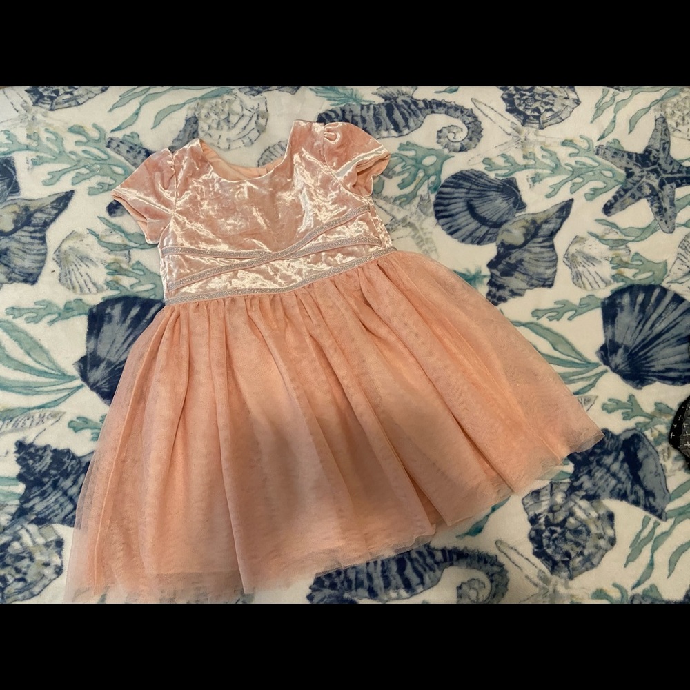 Size 4 cat and Jack dress